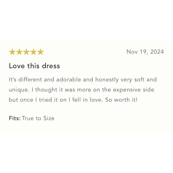 NWT Size XLP -Anthro Long-Sleeve Turtleneck Tulle Twofer Mini Dress (US$ 228) - Picture 16 of 16